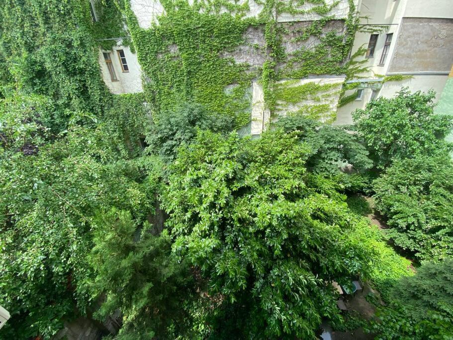 Raday Street, Spacious, Modern Apartment Budapest Esterno foto